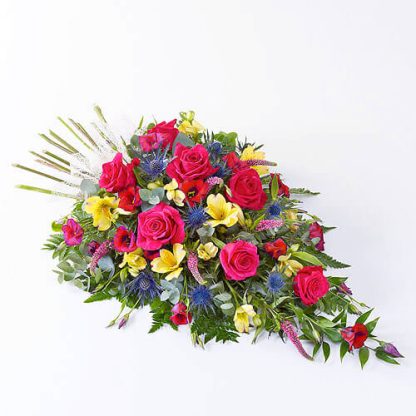 gfgdbg5