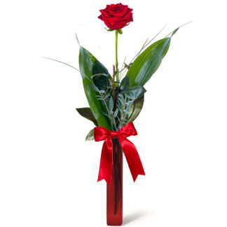 Single Red Roses